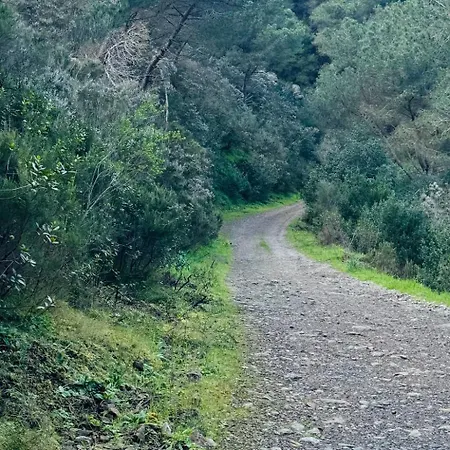 Feriehus Casa Le Farfalle *